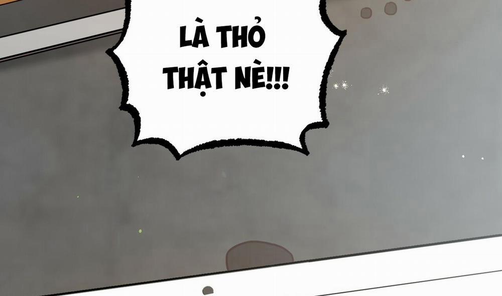 Những Chú Thỏ Của Hapypy 48 trang 73