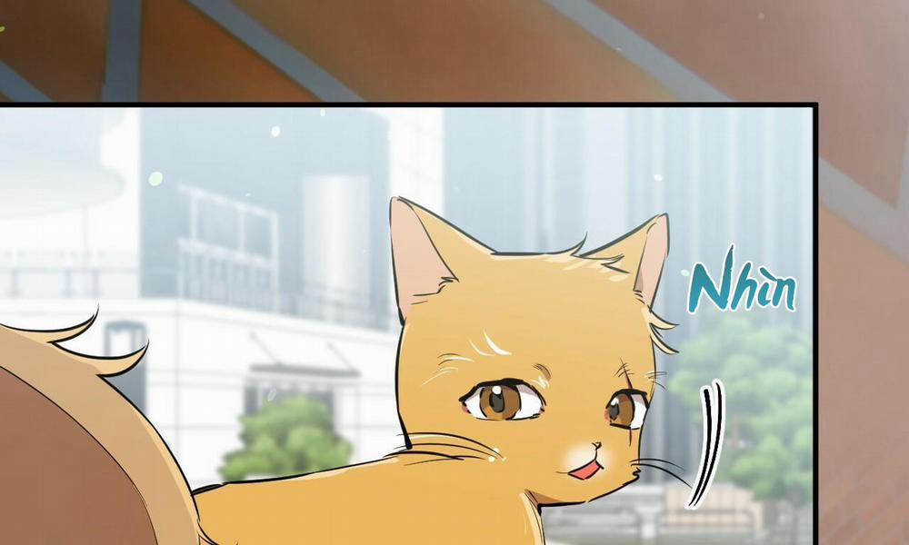 Những Chú Thỏ Của Hapypy 48 trang 80