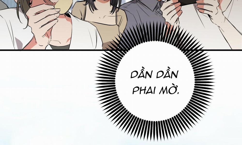 Những Chú Thỏ Của Hapypy 48 trang 89