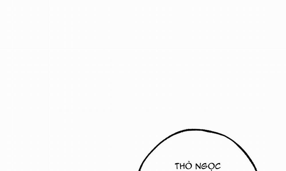 Những Chú Thỏ Của Hapypy 49 trang 11