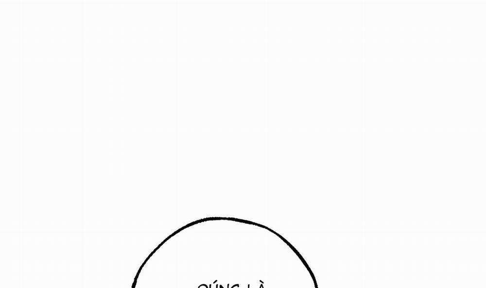 Những Chú Thỏ Của Hapypy 49 trang 161