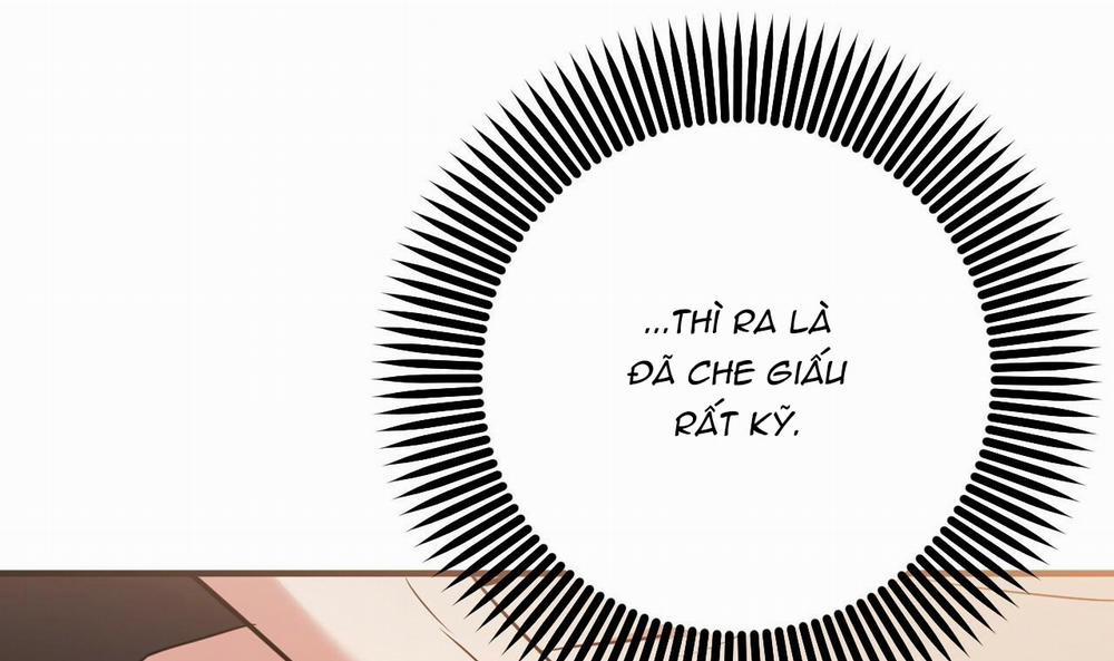 Những Chú Thỏ Của Hapypy 49 trang 169