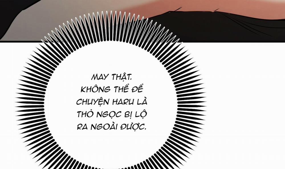 Những Chú Thỏ Của Hapypy 49 trang 171