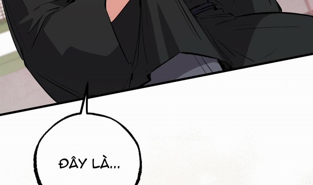 Những Chú Thỏ Của Hapypy 49 trang 202