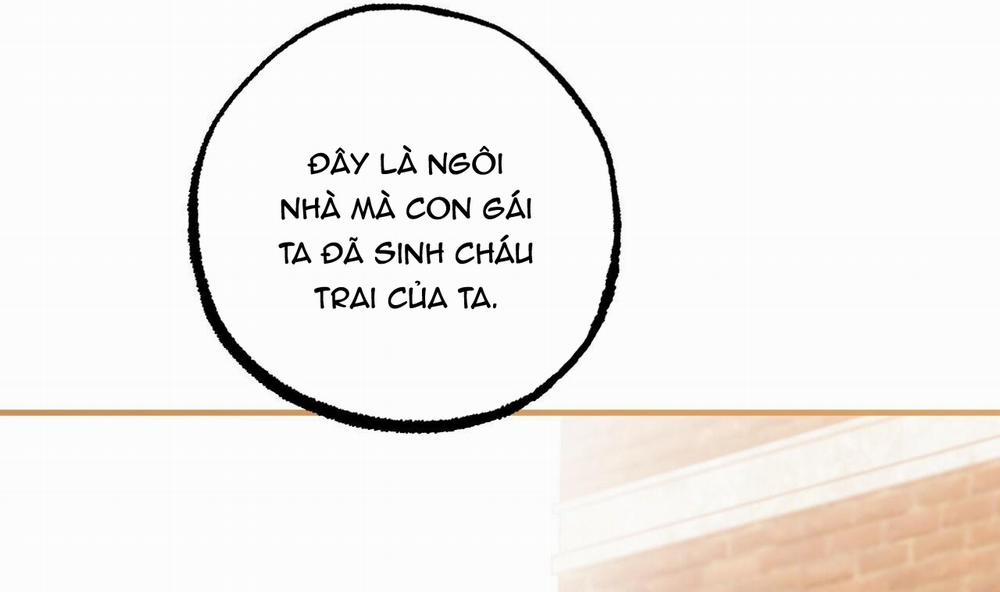 Những Chú Thỏ Của Hapypy 49 trang 208