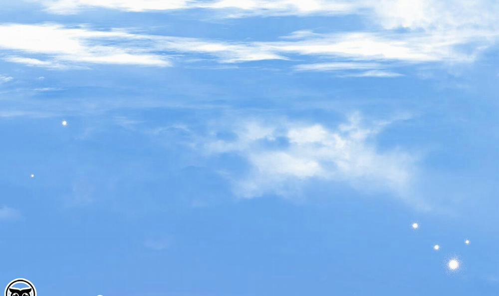 Những Chú Thỏ Của Hapypy 49 trang 221