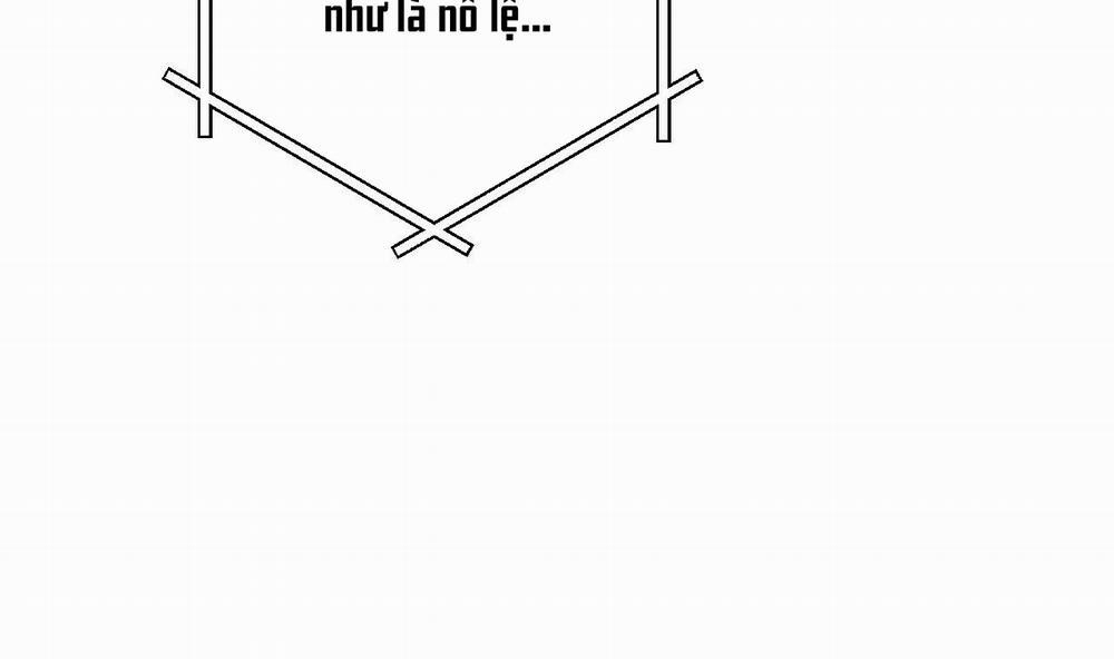 Những Chú Thỏ Của Hapypy 49 trang 239