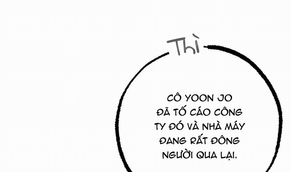 Những Chú Thỏ Của Hapypy 49 trang 240