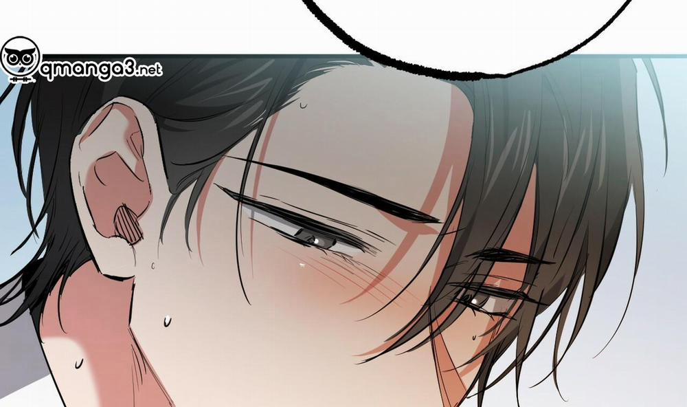 Những Chú Thỏ Của Hapypy 49 trang 241