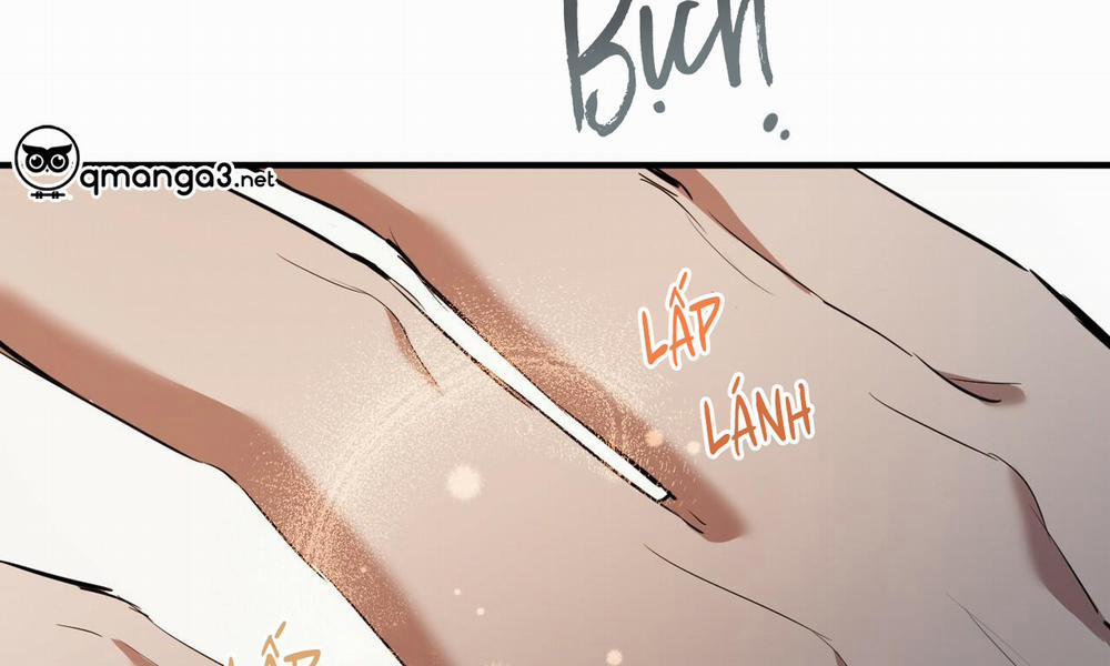 Những Chú Thỏ Của Hapypy 49 trang 263