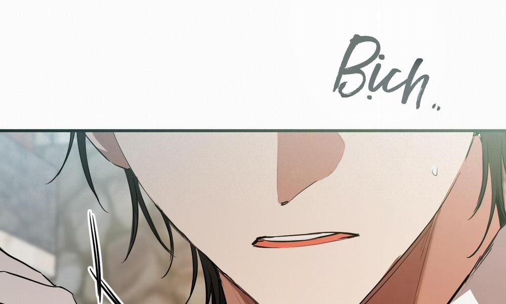 Những Chú Thỏ Của Hapypy 49 trang 267