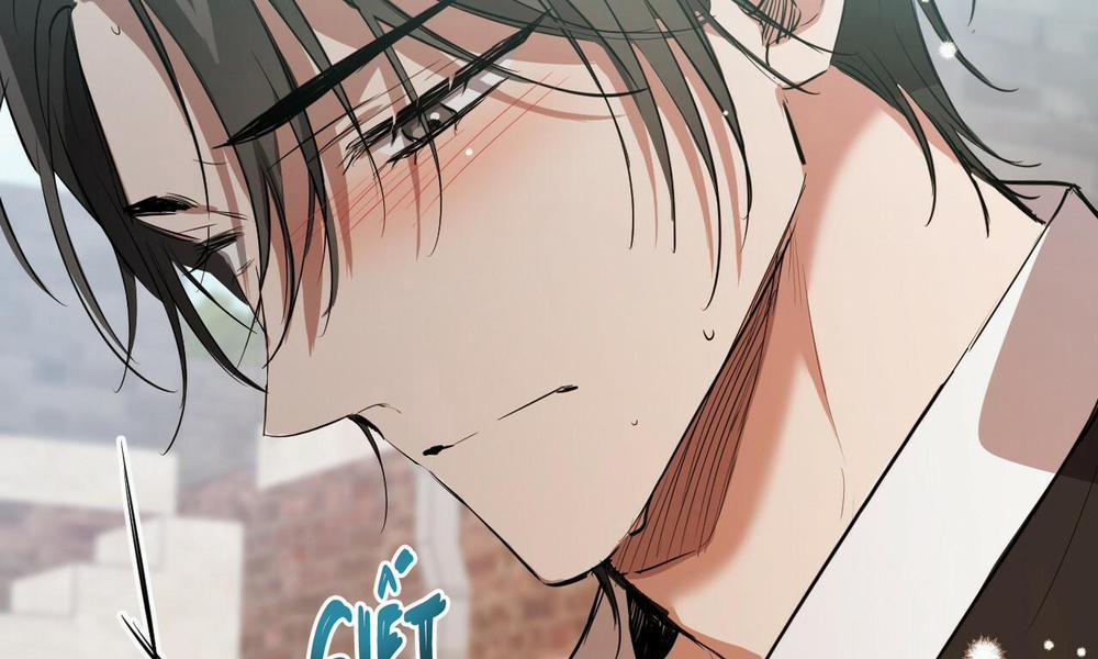 Những Chú Thỏ Của Hapypy 49 trang 270