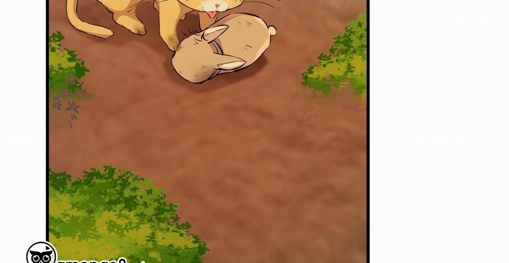 Những Chú Thỏ Của Hapypy 49 trang 280