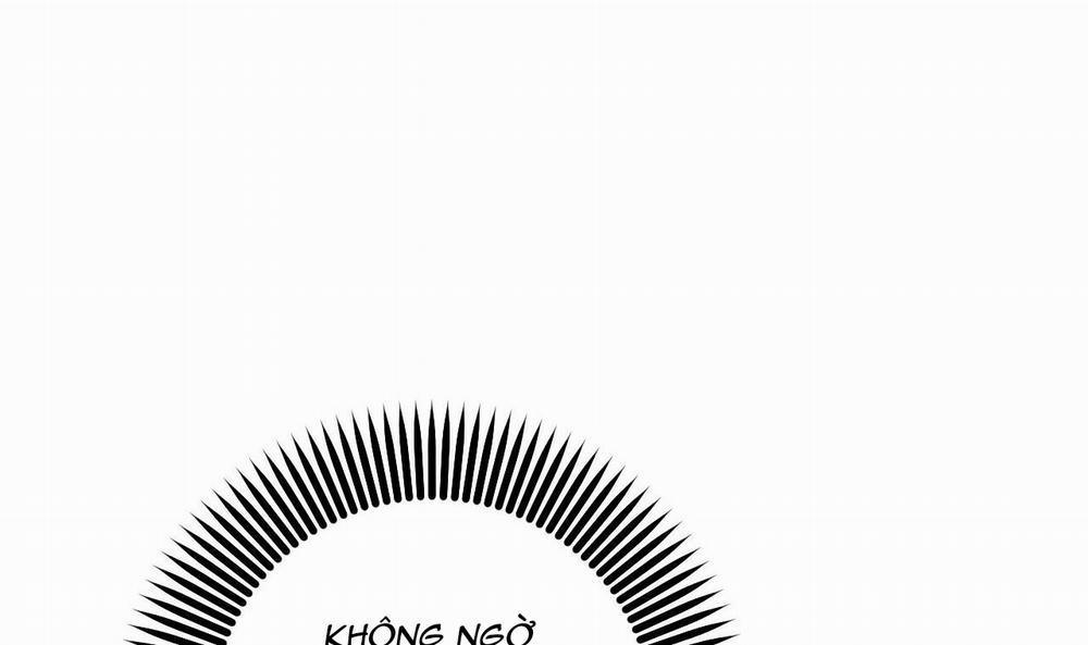 Những Chú Thỏ Của Hapypy 49 trang 36