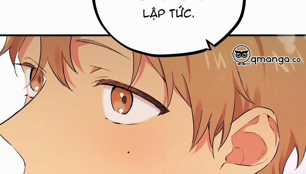 Những Chú Thỏ Của Hapypy 5 trang 178