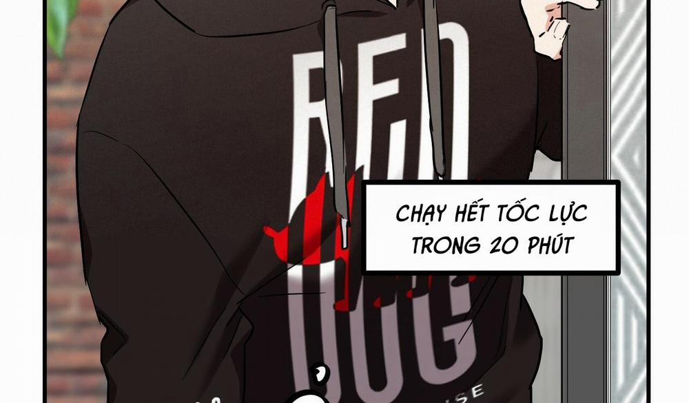 Những Chú Thỏ Của Hapypy 5 trang 231