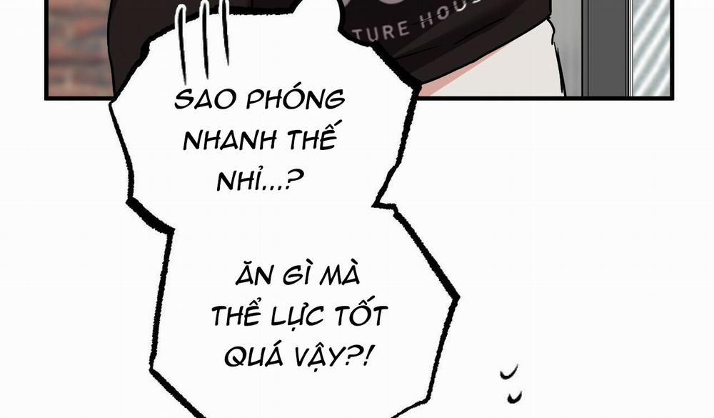 Những Chú Thỏ Của Hapypy 5 trang 232