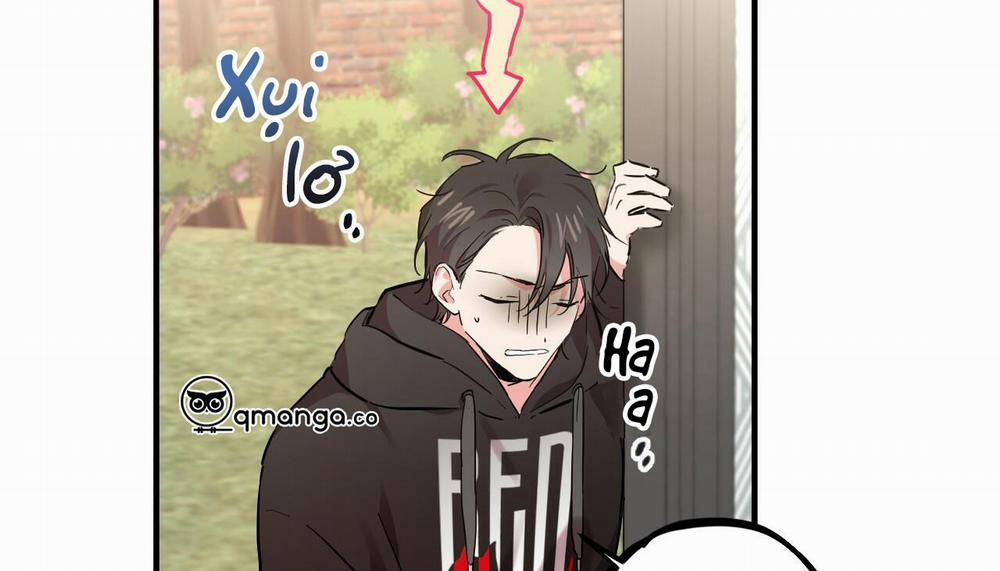 Những Chú Thỏ Của Hapypy 5 trang 238