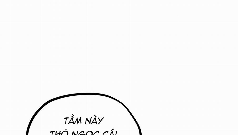 Những Chú Thỏ Của Hapypy 5 trang 240