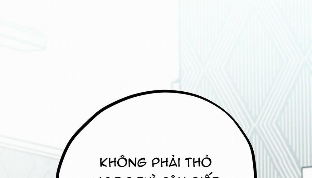 Những Chú Thỏ Của Hapypy 5 trang 45