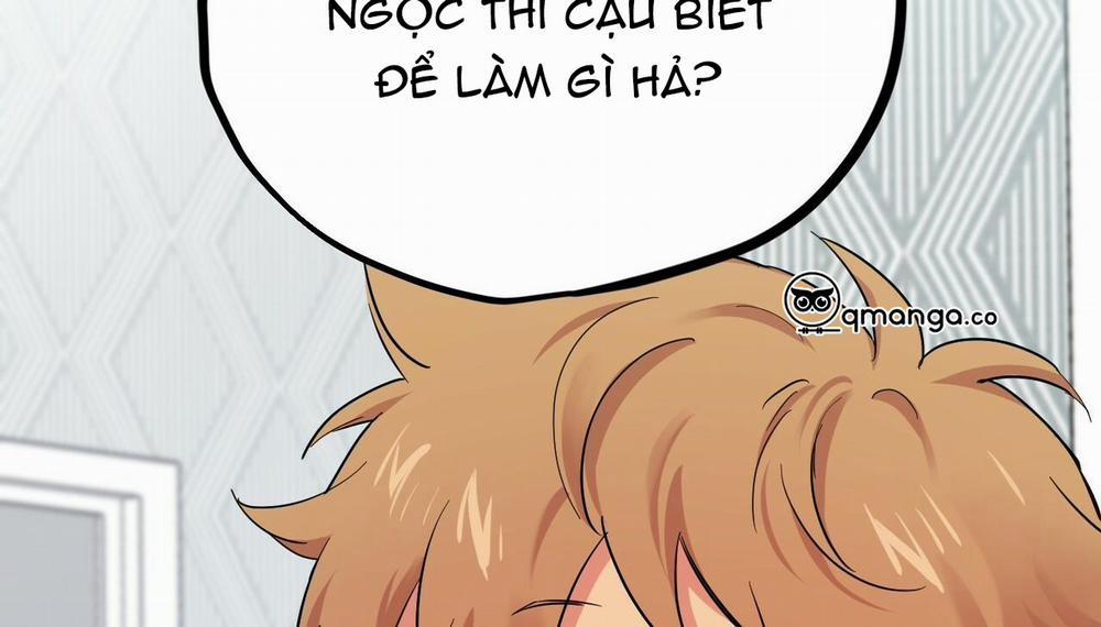 Những Chú Thỏ Của Hapypy 5 trang 46