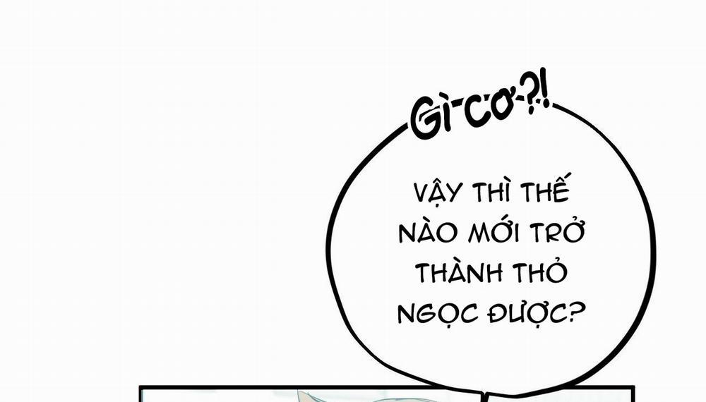 Những Chú Thỏ Của Hapypy 5 trang 53