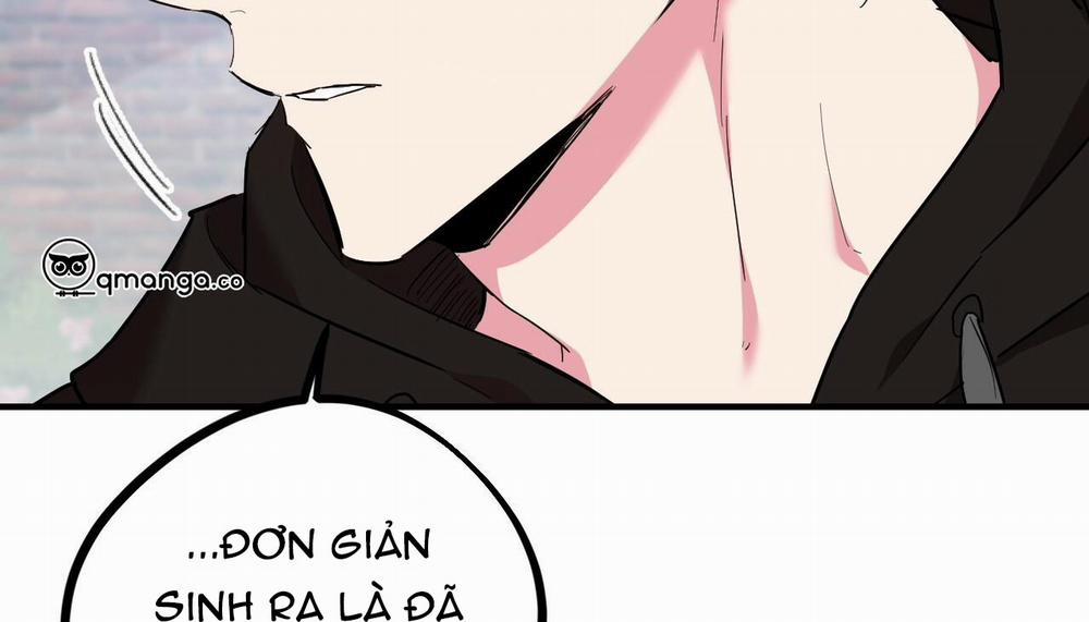 Những Chú Thỏ Của Hapypy 5 trang 64