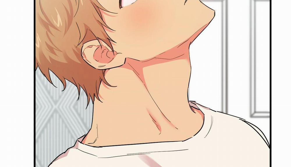 Những Chú Thỏ Của Hapypy 5 trang 82