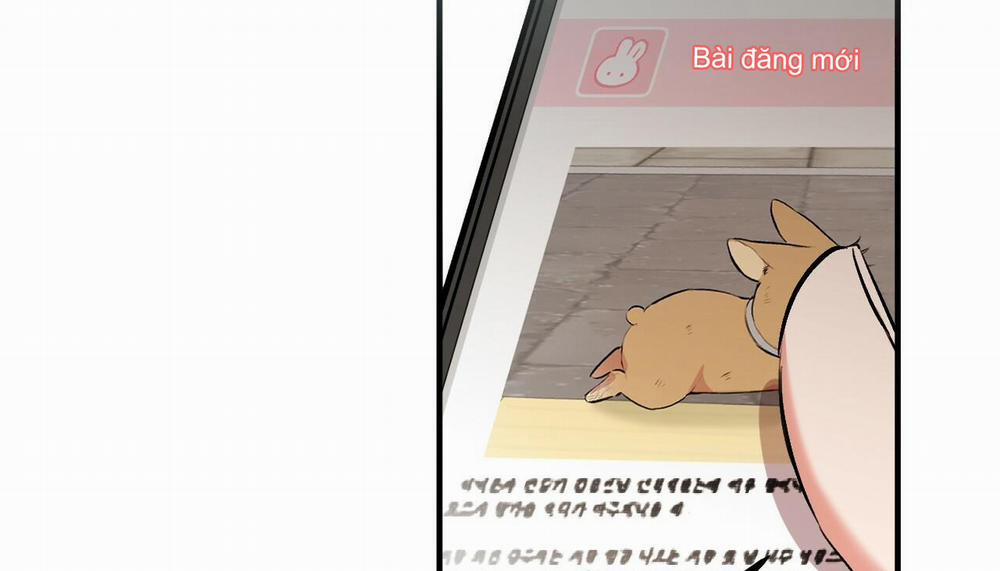 Những Chú Thỏ Của Hapypy 50 trang 101