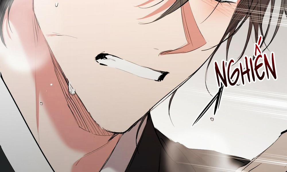 Những Chú Thỏ Của Hapypy 50 trang 12