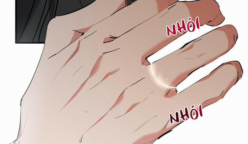 Những Chú Thỏ Của Hapypy 50 trang 162