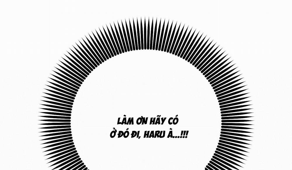 Những Chú Thỏ Của Hapypy 50 trang 166