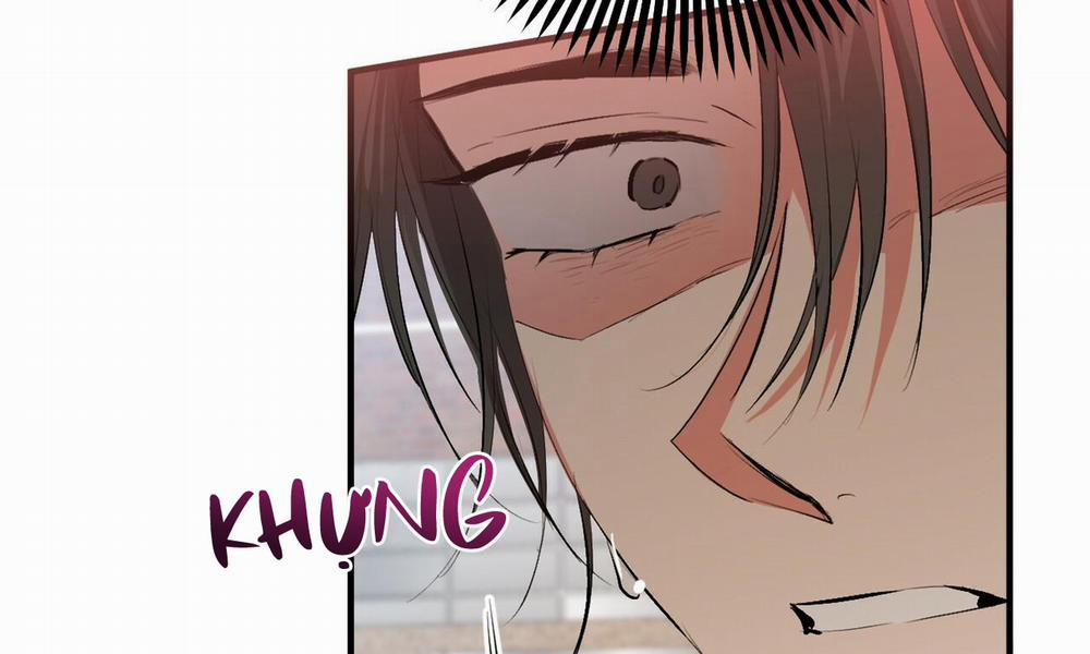 Những Chú Thỏ Của Hapypy 50 trang 185