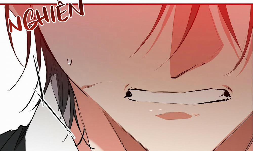 Những Chú Thỏ Của Hapypy 50 trang 198