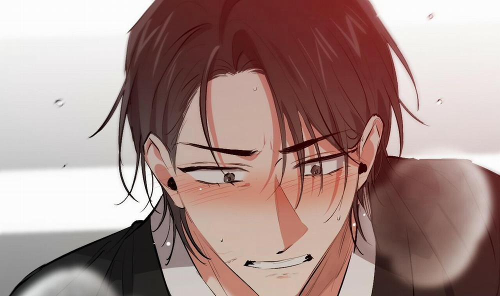 Những Chú Thỏ Của Hapypy 50 trang 201