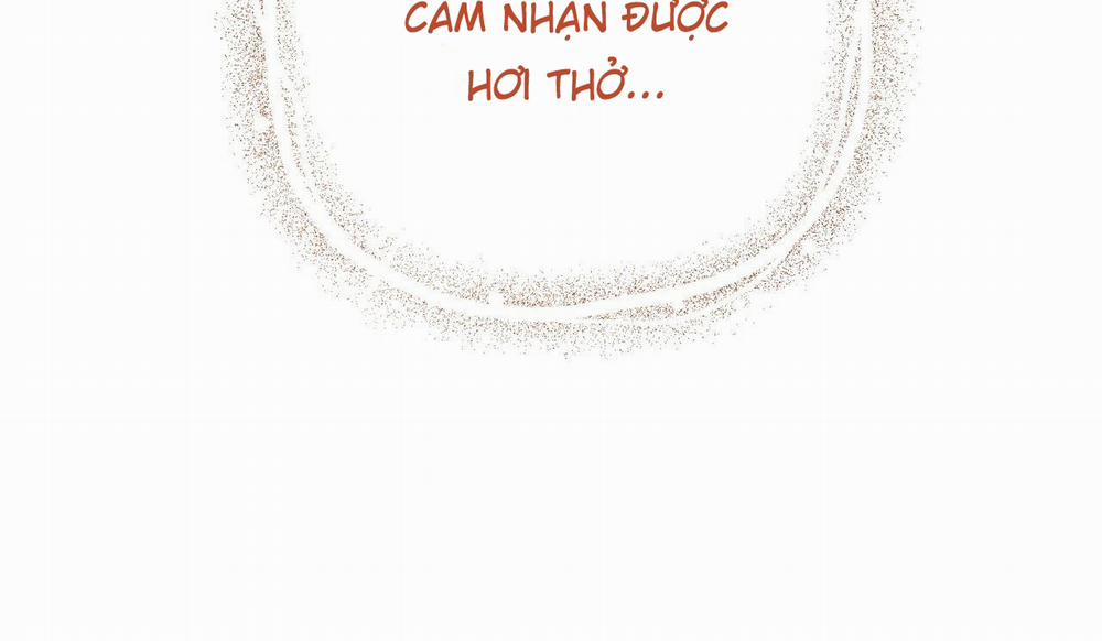 Những Chú Thỏ Của Hapypy 50 trang 241