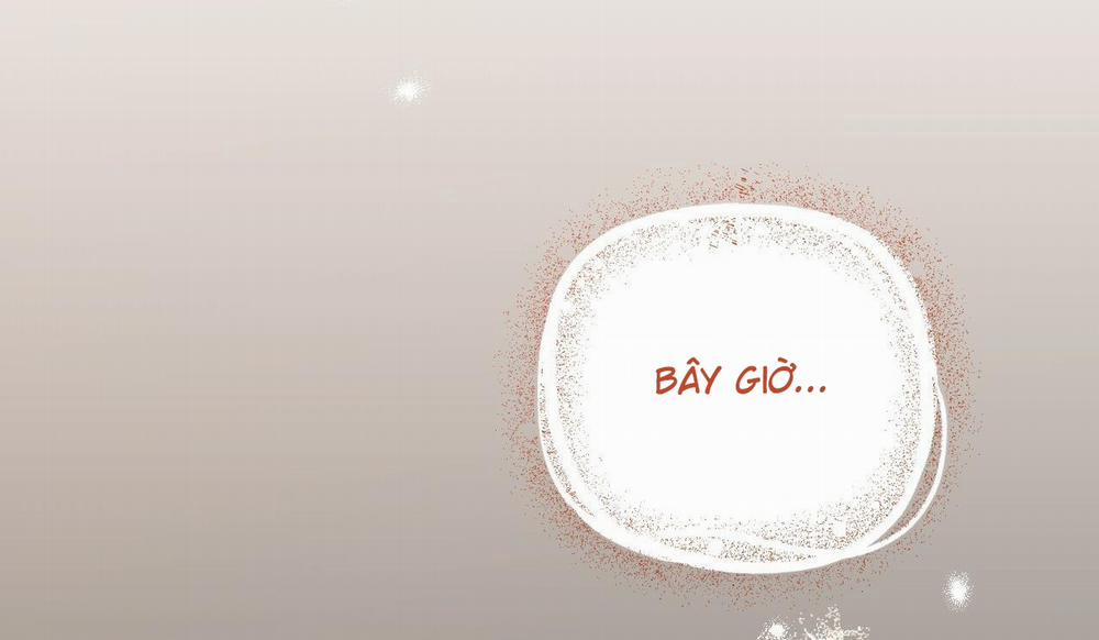 Những Chú Thỏ Của Hapypy 50 trang 246