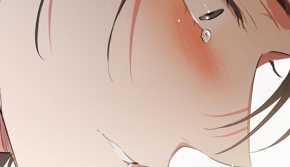 Những Chú Thỏ Của Hapypy 50 trang 252