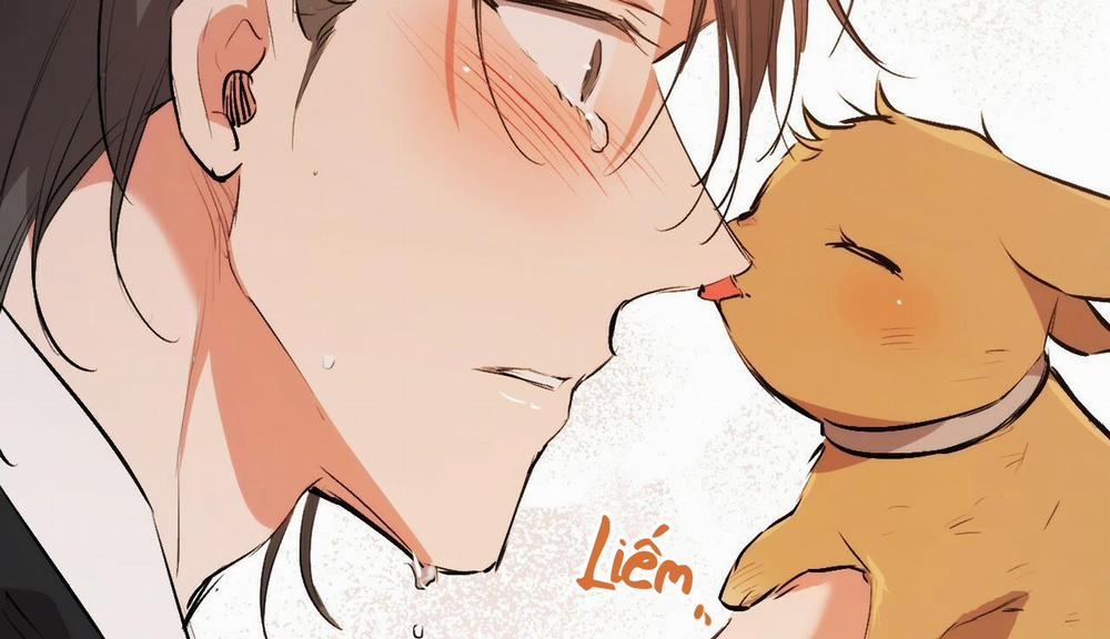 Những Chú Thỏ Của Hapypy 50 trang 255