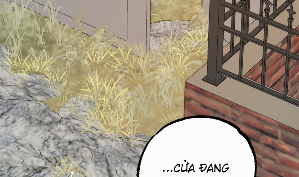 Những Chú Thỏ Của Hapypy 50 trang 26