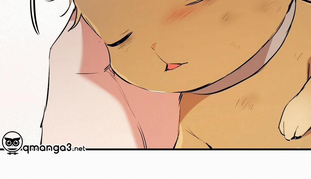 Những Chú Thỏ Của Hapypy 50 trang 265