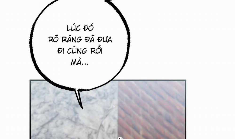 Những Chú Thỏ Của Hapypy 50 trang 63