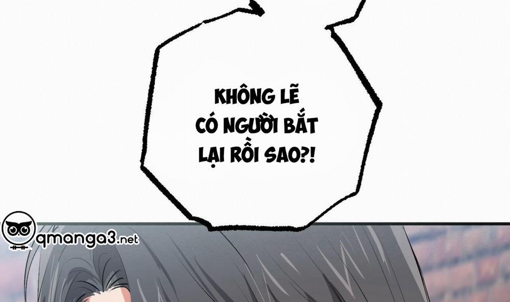 Những Chú Thỏ Của Hapypy 50 trang 67