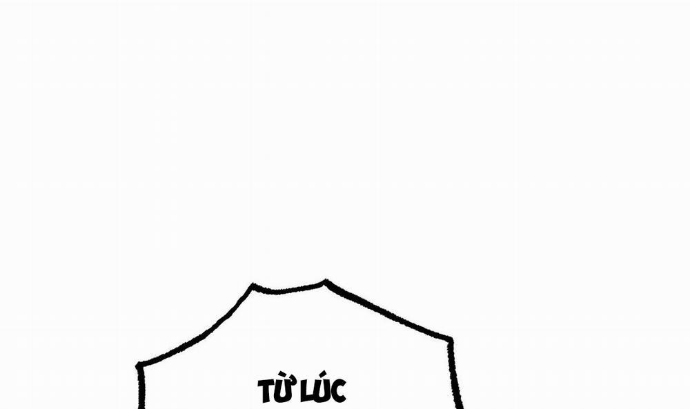 Những Chú Thỏ Của Hapypy 50 trang 71