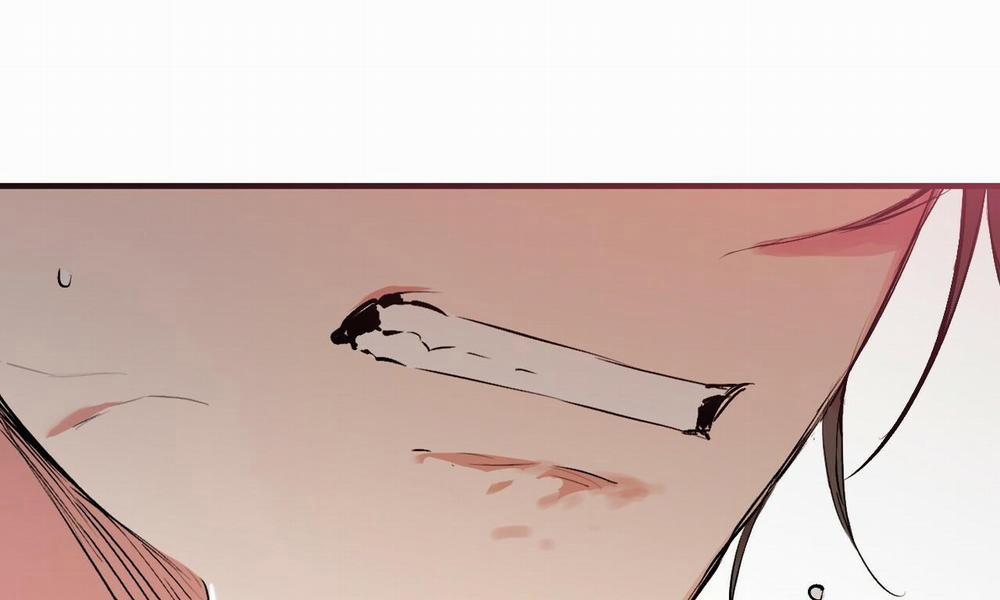 Những Chú Thỏ Của Hapypy 50 trang 8