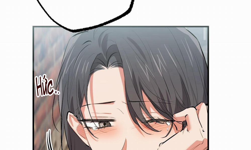 Những Chú Thỏ Của Hapypy 50 trang 89