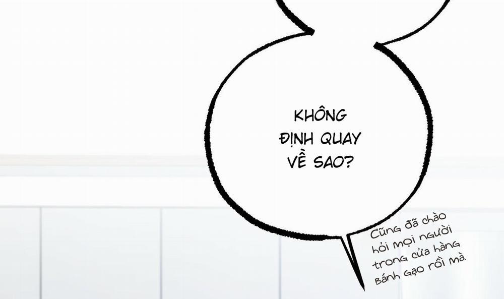 Những Chú Thỏ Của Hapypy 51 trang 142