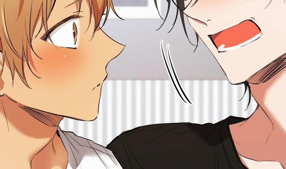 Những Chú Thỏ Của Hapypy 51 trang 170