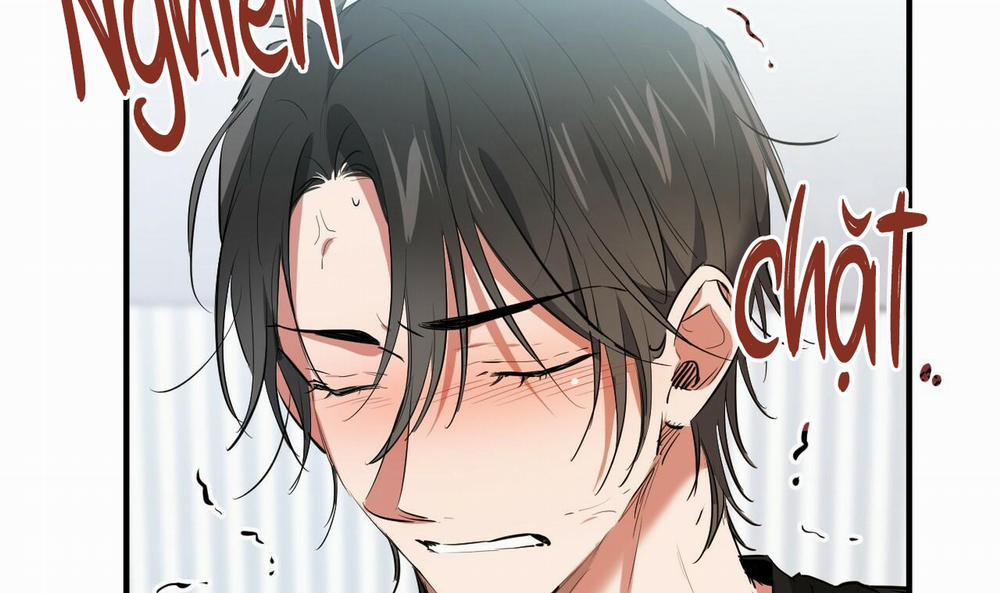 Những Chú Thỏ Của Hapypy 51 trang 173