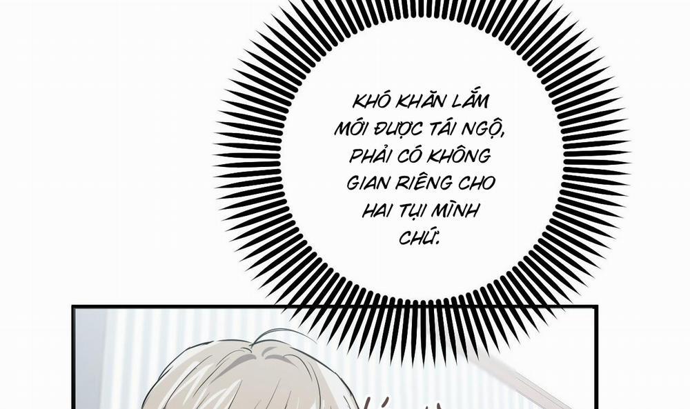 Những Chú Thỏ Của Hapypy 51 trang 211